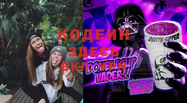 метадон Гусев
