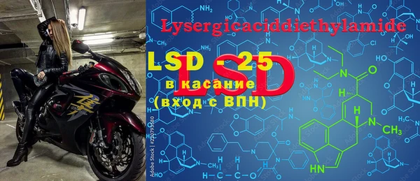 spice Горняк