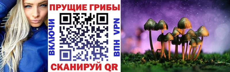 что такое наркотик  Москва  Псилоцибиновые грибы MAGIC MUSHROOMS 
